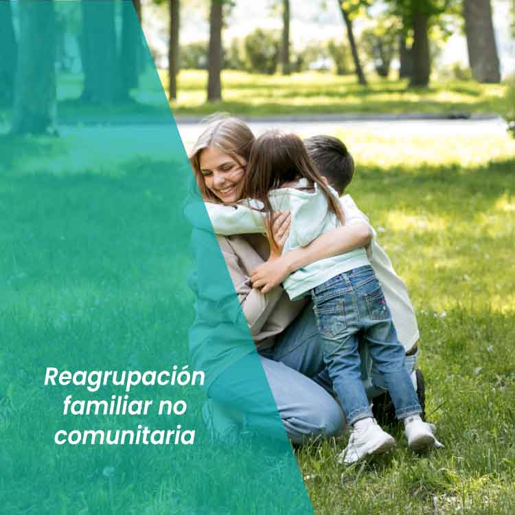 Reagrupación familiar no comunitaria Morales Asencio